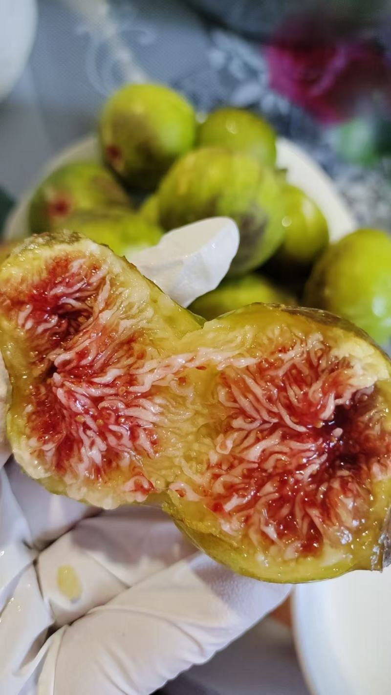 威海无花果