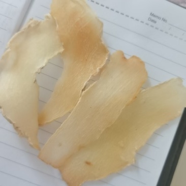 芭蕉芋，八角玉