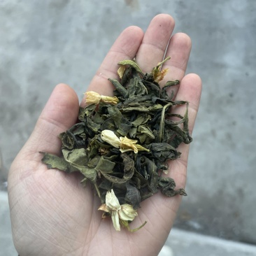 茉莉花茶电商款
