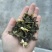 茉莉花茶电商款