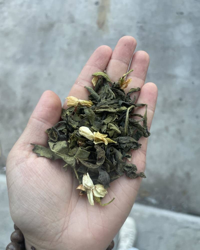 茉莉花茶电商款
