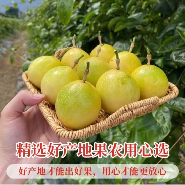 广西海南正宗钦蜜9号黄金百香果新鲜批发！产地直发