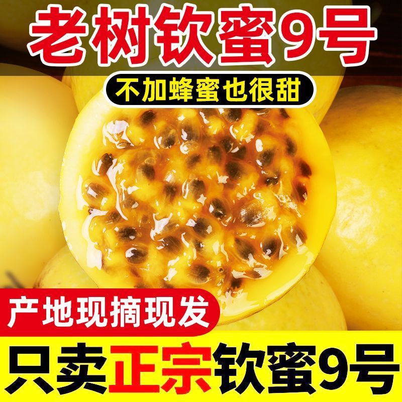 广西海南正宗钦蜜9号黄金百香果新鲜批发！产地直发