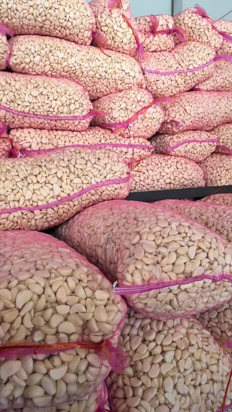 蒜米大蒜去皮蒜米