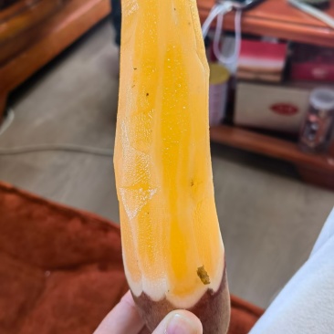 雪莲果