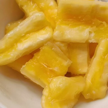 华南9号黄肉木薯