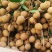 桂圆
