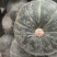 有机贝贝南瓜三号