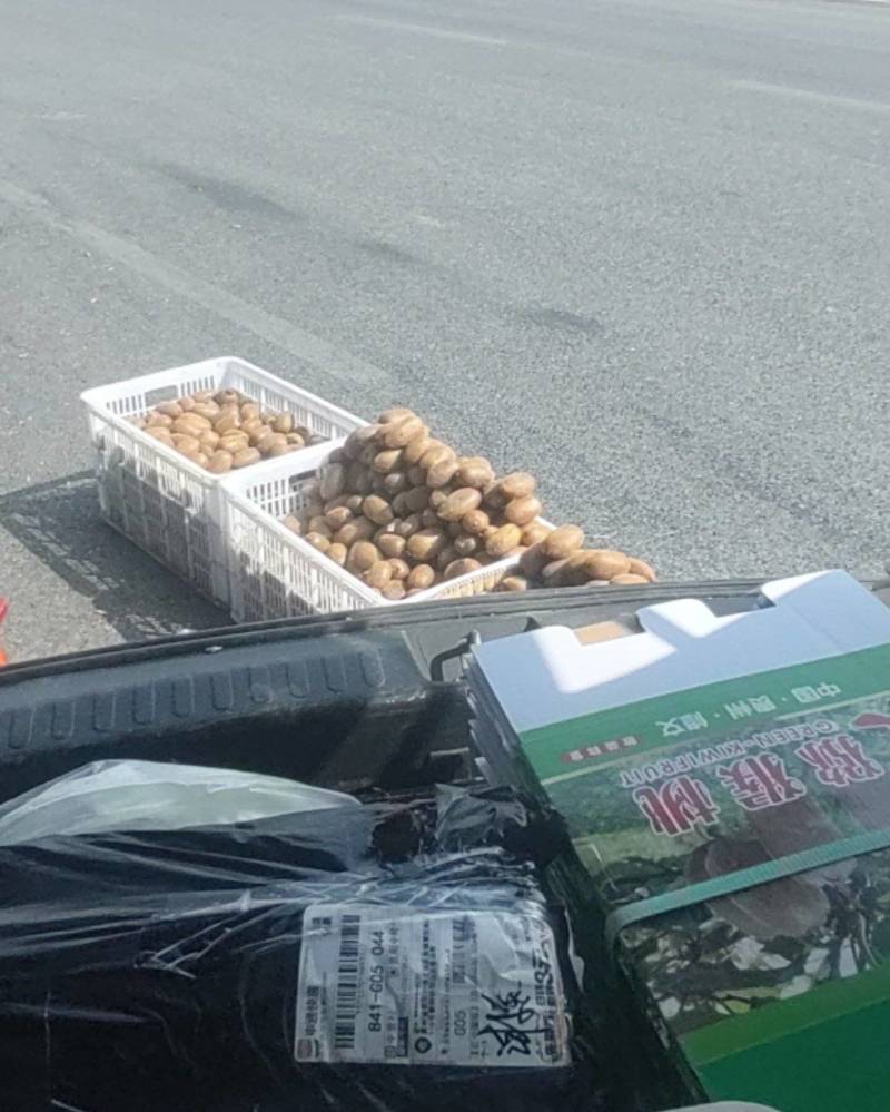 修文猕猴桃🥝
