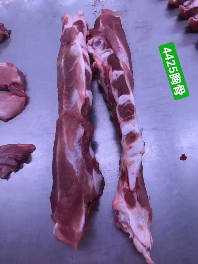 胸骨