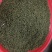 湖南中花吴茱萸
