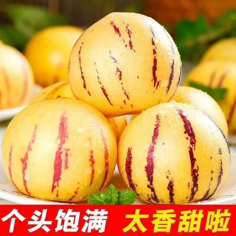 云南人参果