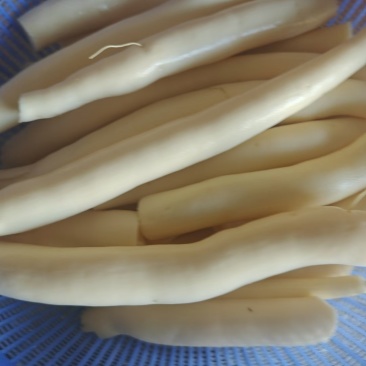 华南九号木薯