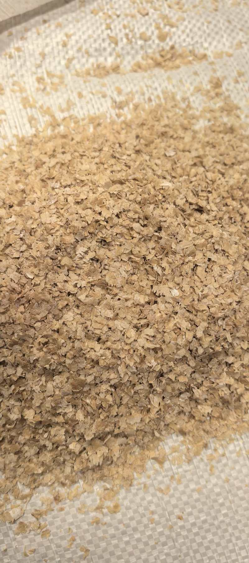大片麸皮