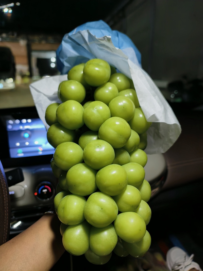 一级果二级果阳光玫瑰