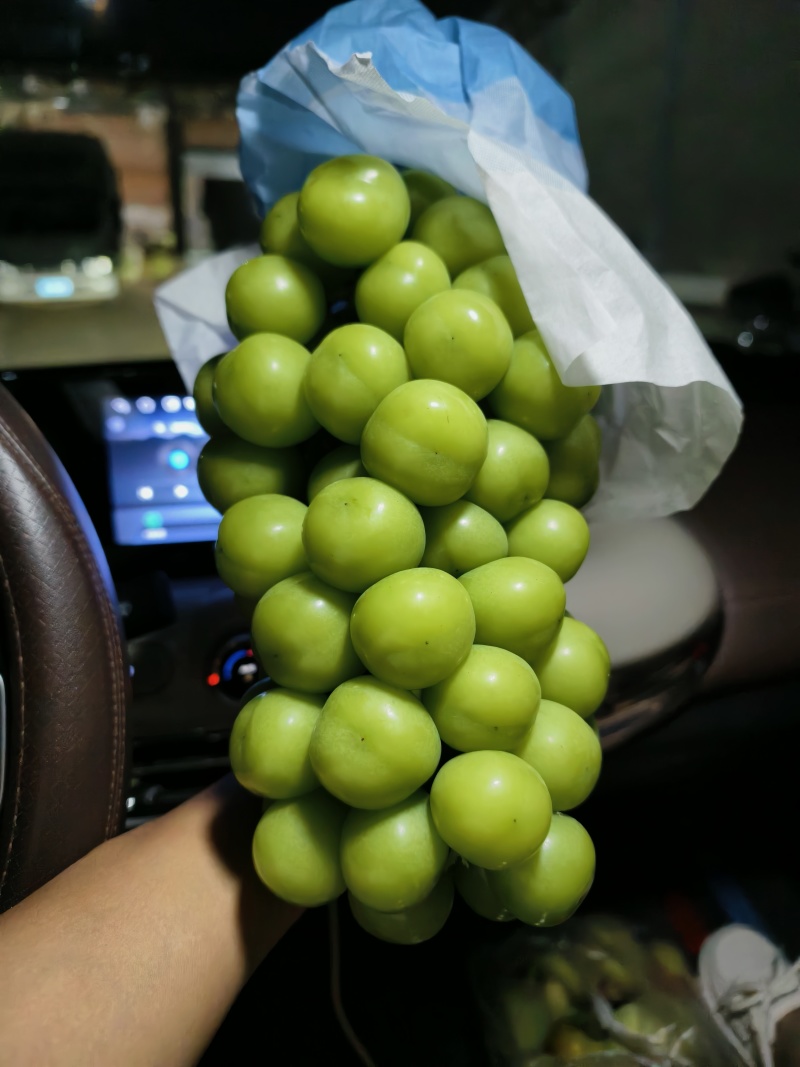 一级果二级果阳光玫瑰