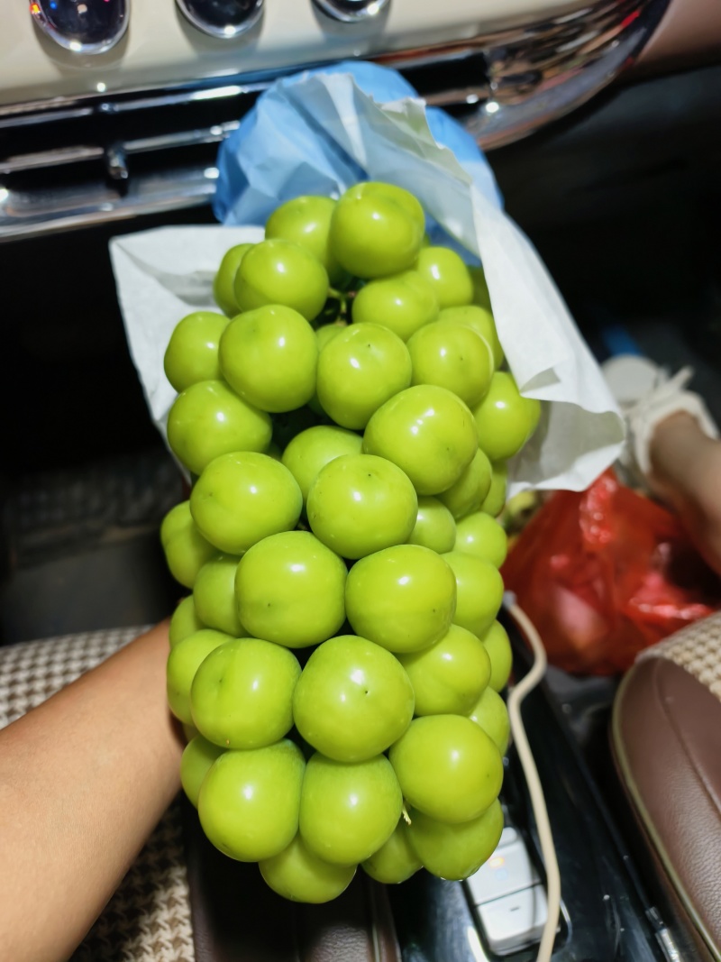 一级果二级果阳光玫瑰