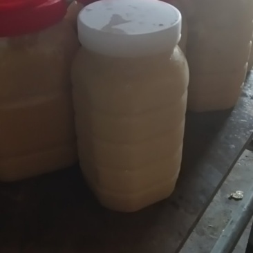 正宗山上找的土蜂蜜