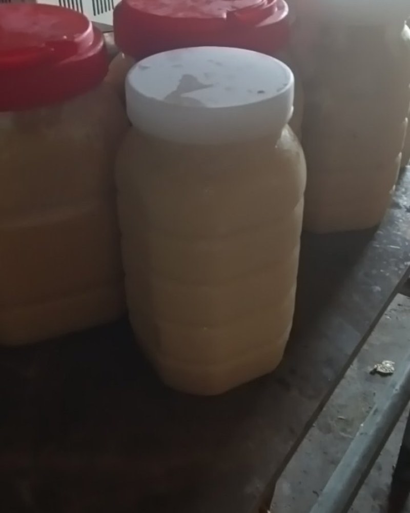 正宗山上找的土蜂蜜