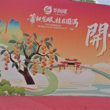 龙眼包邮10斤100块