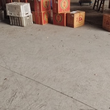 龙眼干
