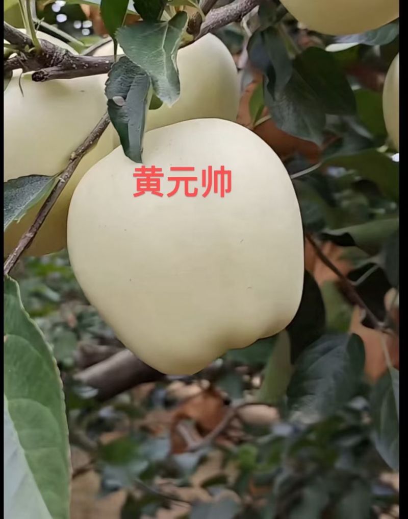 天水