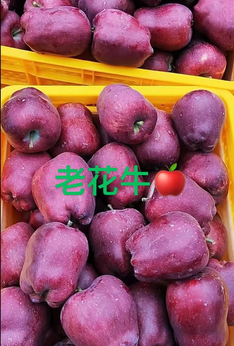 天水