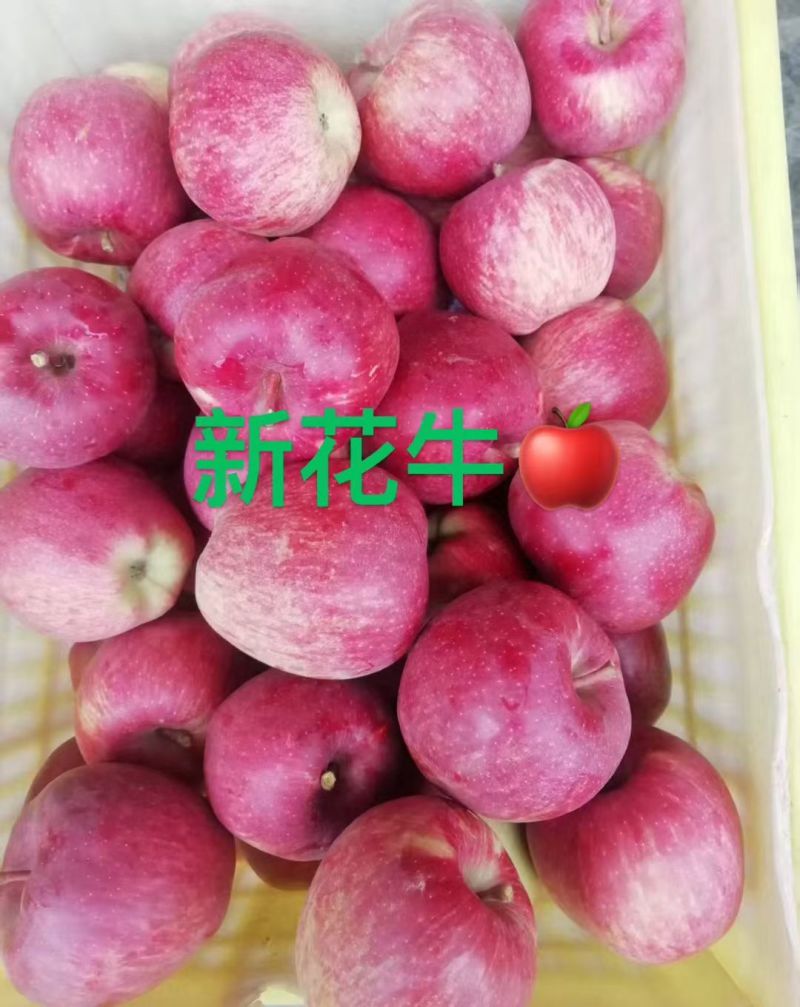 天水