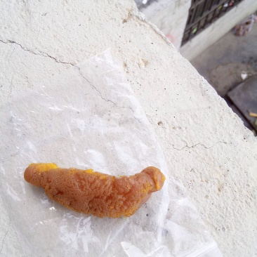 鸡宝