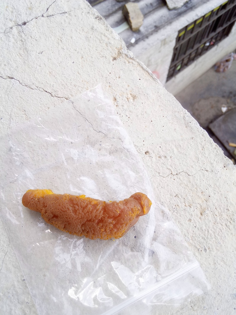 鸡宝