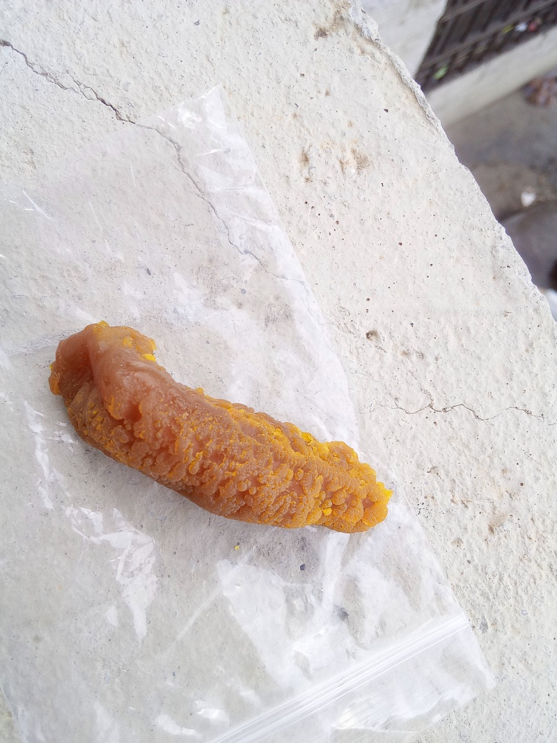 鸡宝