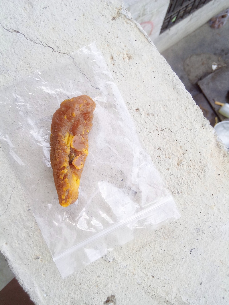 鸡宝
