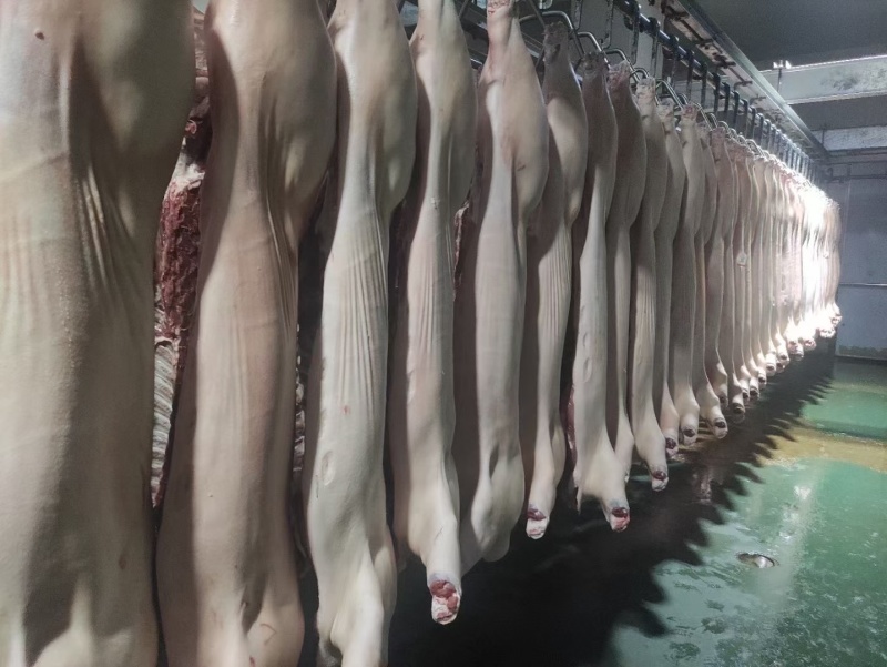 生鲜猪肉