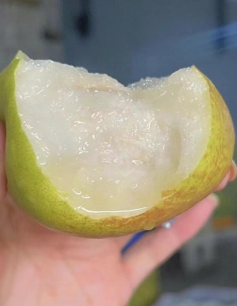 玉露香梨、酥梨
