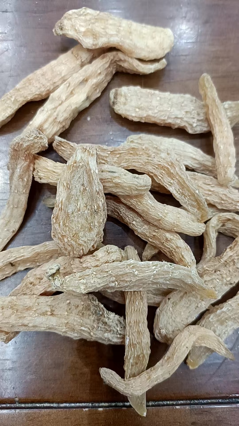 天麻