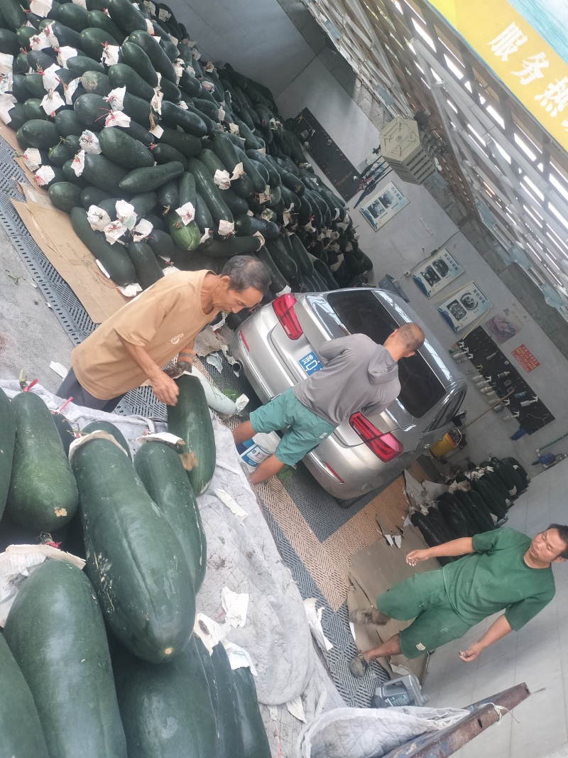 贵州省铜仁市沿河县东瓜