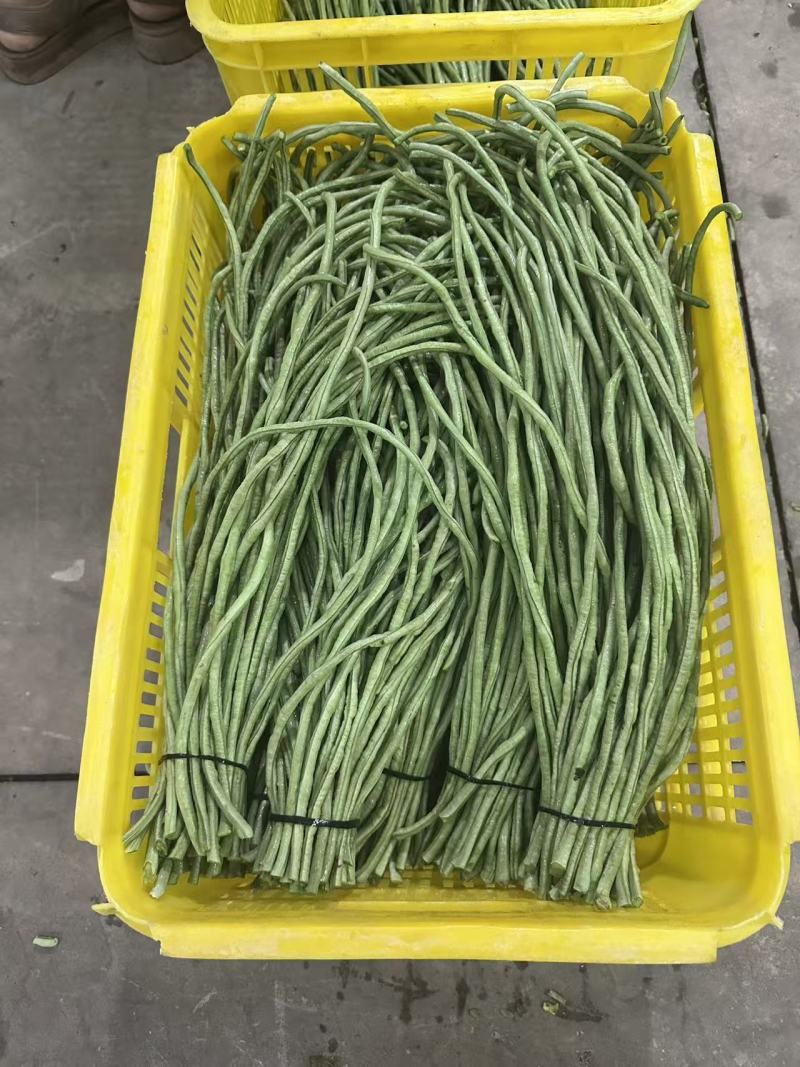 速冻豇豆段