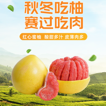 福建三红柚