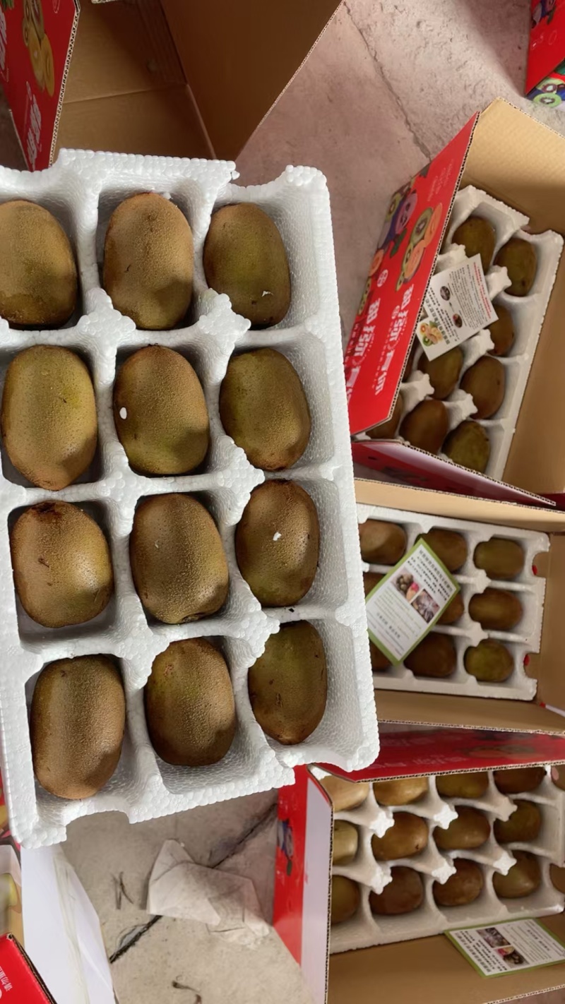 电商一件代发黄心猕猴桃，用我的品质做您的口碑（彩箱泡沫托）