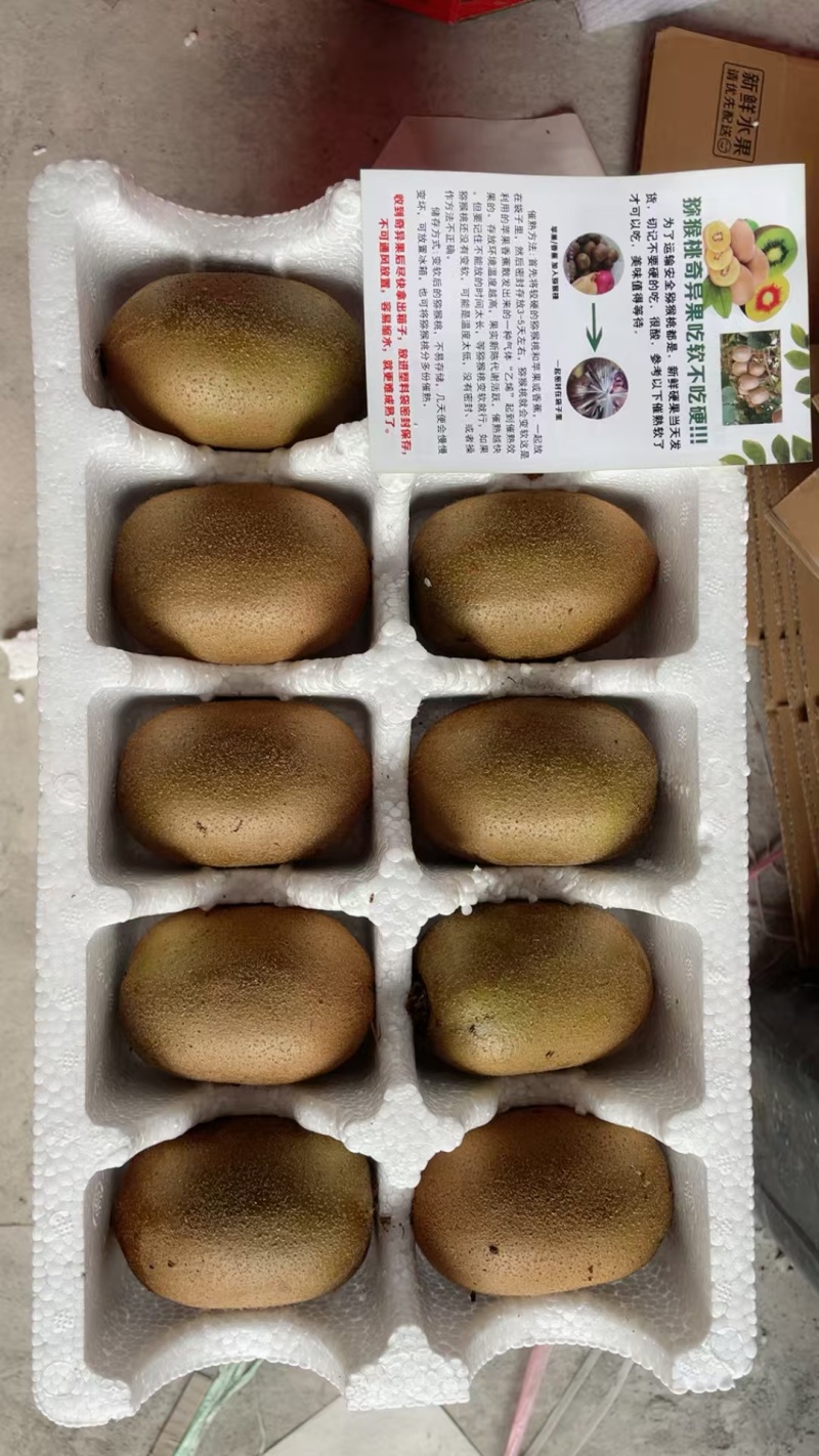 电商一件代发黄心猕猴桃，用我的品质做您的口碑（彩箱泡沫托）