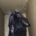 宠物猫