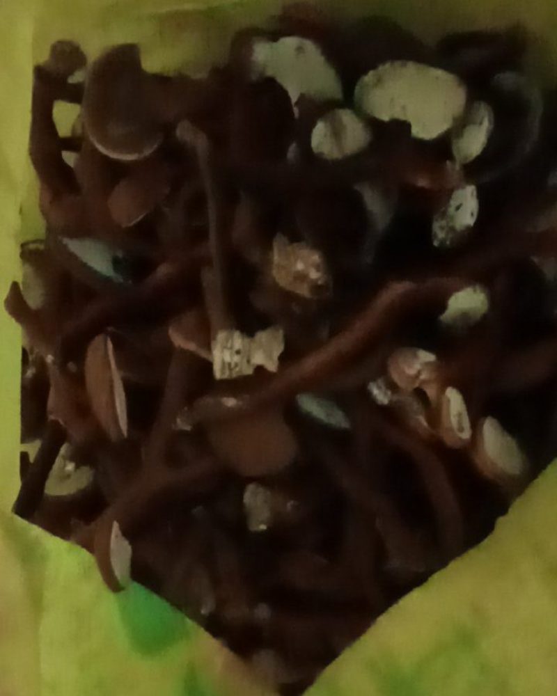 鹿茸芝