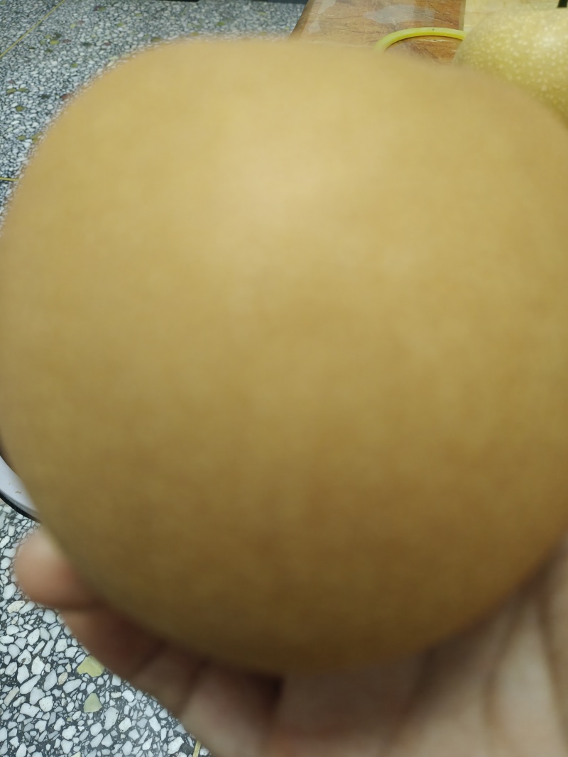 秋月梨