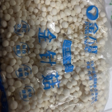 万辰金针菇A菇，40斤
