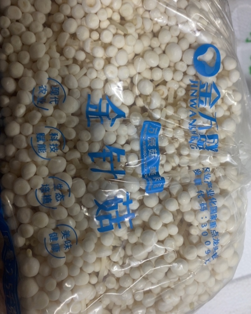 万辰金针菇A菇，40斤