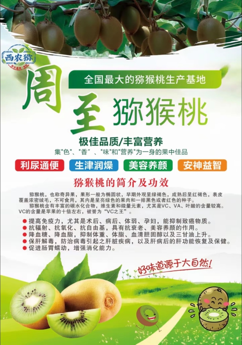 周至翠香猕猴桃🥝