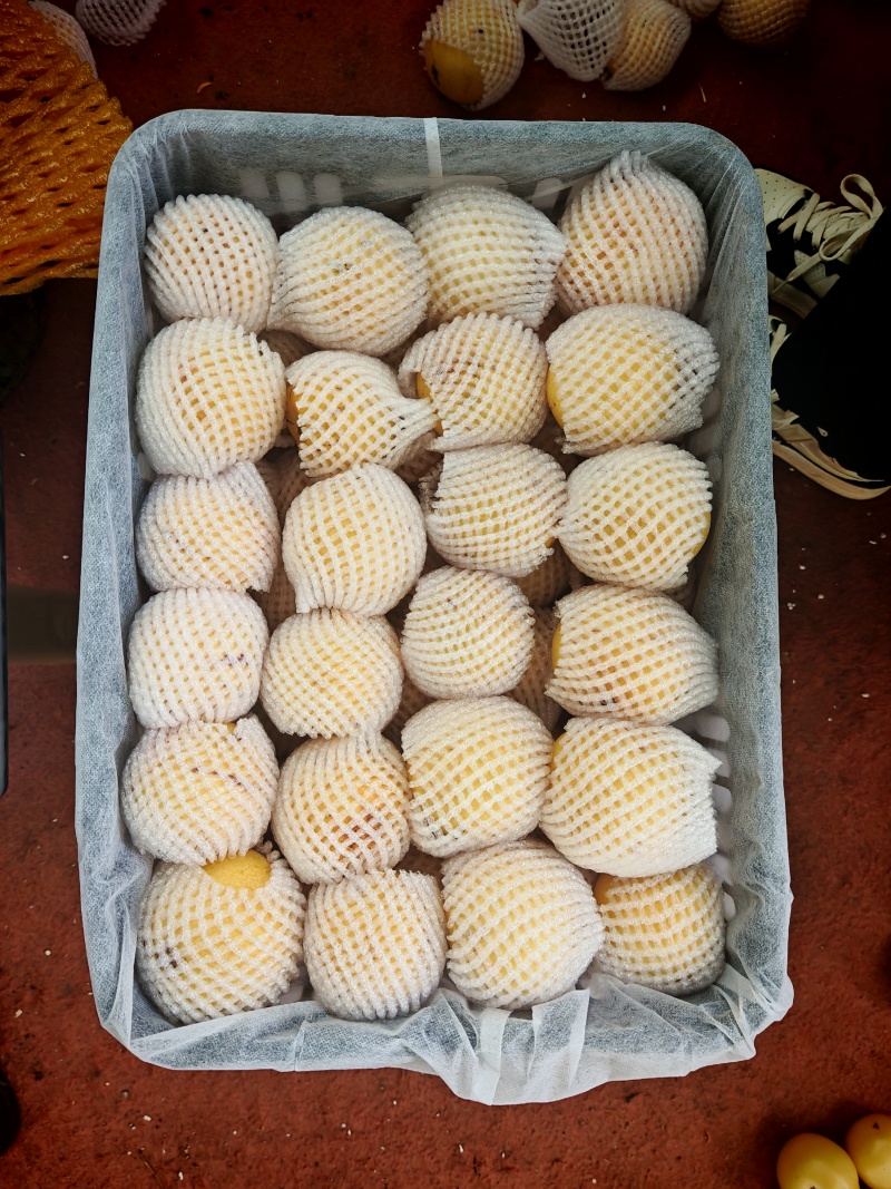 树熟人参果，咬一口飙汁的奶甜“硒果”秋冬补水补硒优品