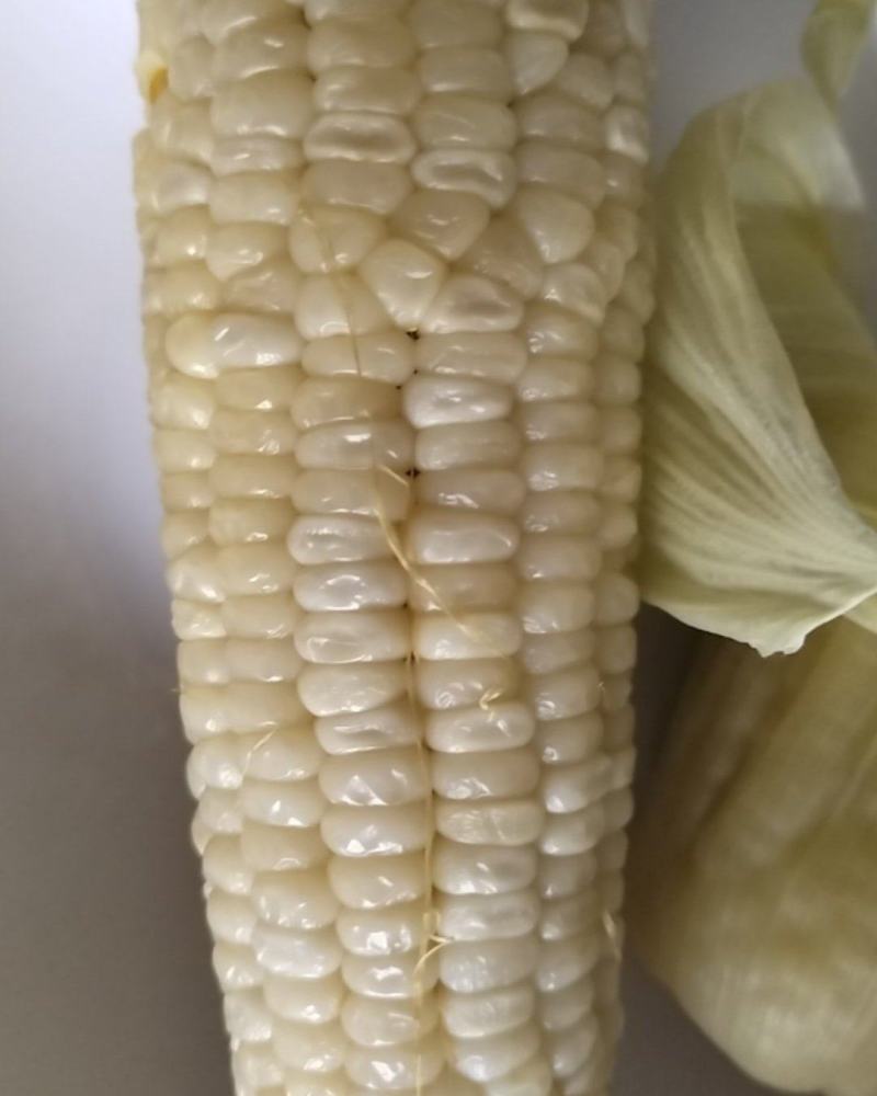 水果玉米