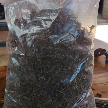 勐简大叶茶