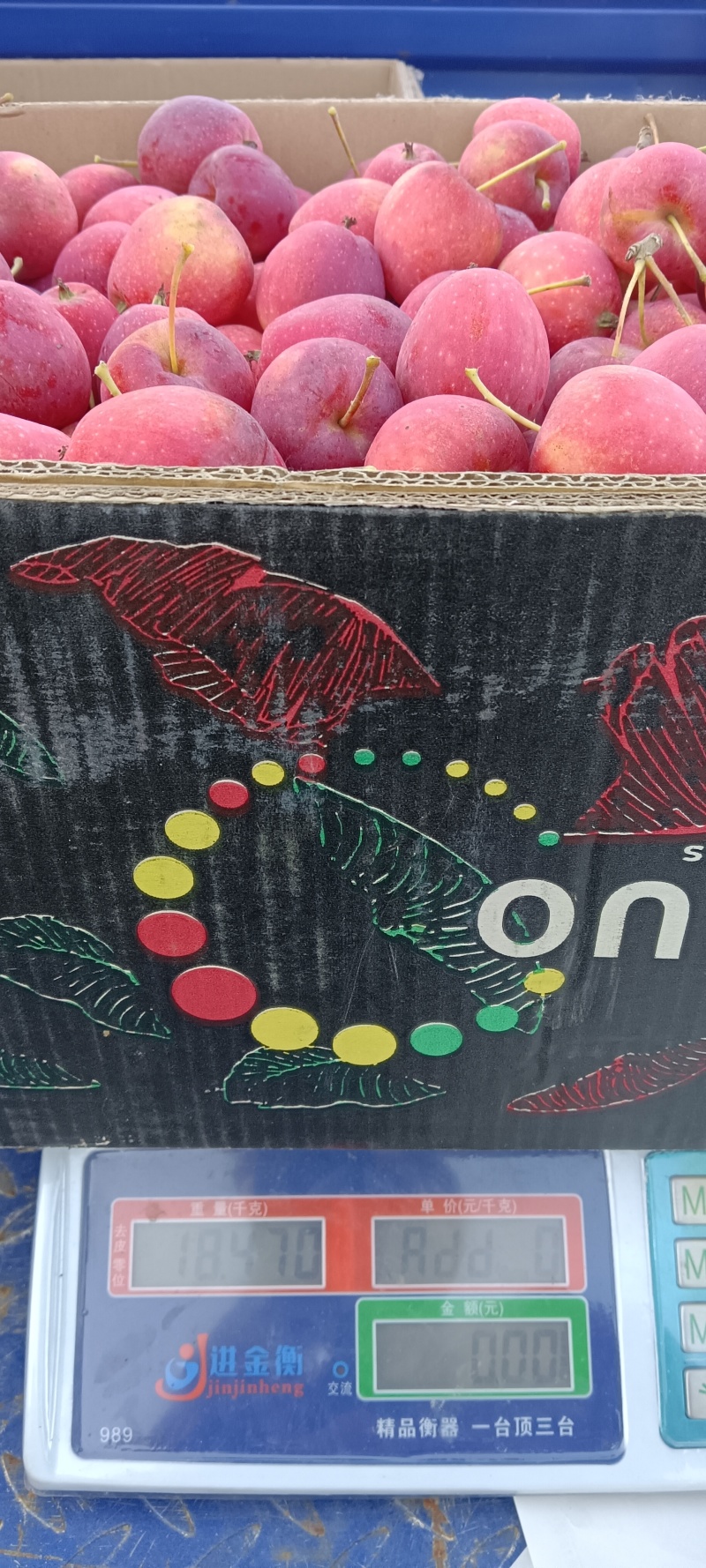 通辽当地鸡心果大小不分